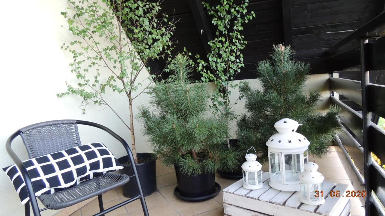 Homestay Zielone Tarasy Na Kaszubach *
