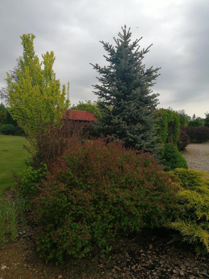 Homestay Zielone Tarasy Na Kaszubach Sikorzyno